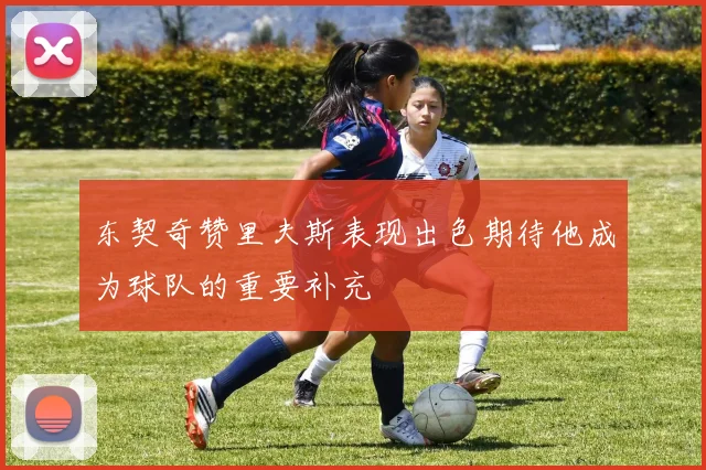 东契奇赞里夫斯表现出色期待他成为球队的重要补充