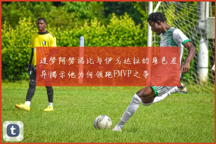 追梦阿努诺比与伊戈达拉的角色差异揭示他为何领跑FMVP之争